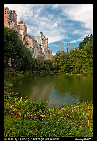 Central Park pond and nearby buildings. NYC, New York, USA