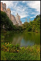 Central Park pond and nearby buildings. NYC, New York, USA (color)