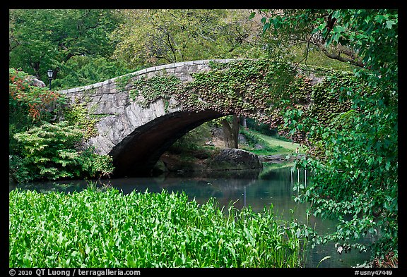 Stone bridge, Central Park. NYC, New York, USA
