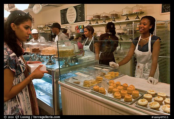 Cupcakes sold in bakery. NYC, New York, USA