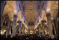 Interior of St Patricks Cathedral. NYC, New York, USA ( color)