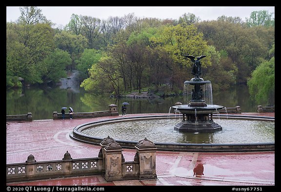 NY Central Park's Bethesda