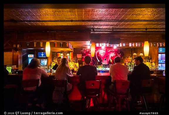 Stonewall Inn bar counter. NYC, New York, USA (color)