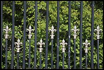 Fence with the French Fleur de Lys royalty emblem. Newport, Rhode Island, USA ( color)
