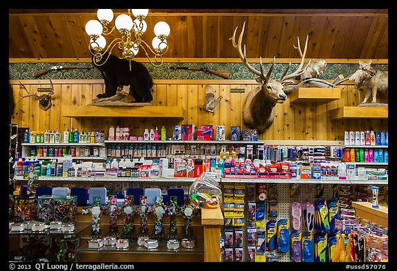 Inside Wall Drug Store, Wall. South Dakota, USA (color)