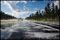 Highway with hail, Black Hills National Forest. Black Hills, South Dakota, USA ( color)