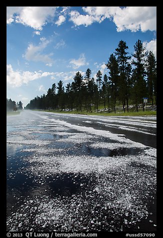 Highway after hailstorm, Black Hills National Forest. Black Hills, South Dakota, USA