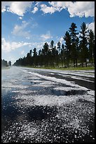 Highway after hailstorm, Black Hills National Forest. Black Hills, South Dakota, USA (color)