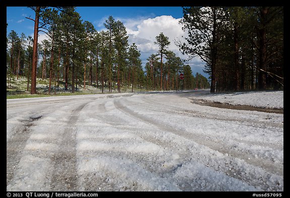 Highway covered with hailstones, Black Hills National Forest. Black Hills, South Dakota, USA (color)