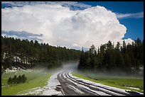 Clearing hailstorm, Black Hills National Forest. Black Hills, South Dakota, USA (color)