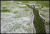 Hailstones form pattern in meadow, Black Hills National Forest. Black Hills, South Dakota, USA ( color)