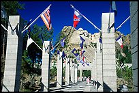 Alley of the Flags, with flags from each of the 50 US states, Mt Rushmore National Memorial. South Dakota, USA (color)