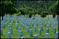 Black Hills National Cemetery. Black Hills, South Dakota, USA ( color)