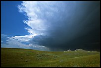 Storm cloud over prairie. South Dakota, USA ( color)