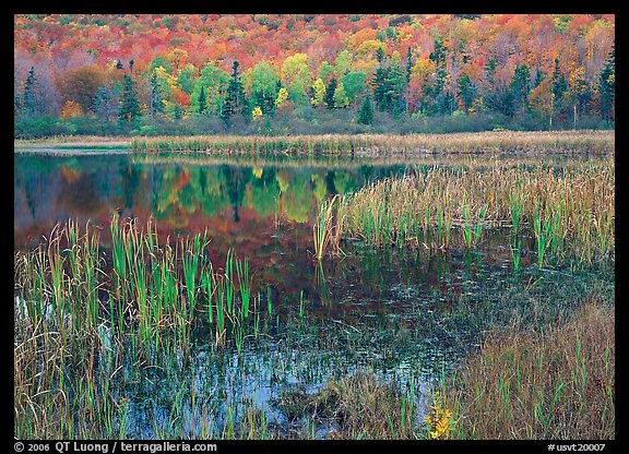 Autumn Reflexions, Green Mountains. USA (color)
