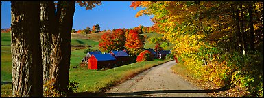 Pastoral view with road and farm in autumn. Vermont, New England, USA (Panoramic color)
