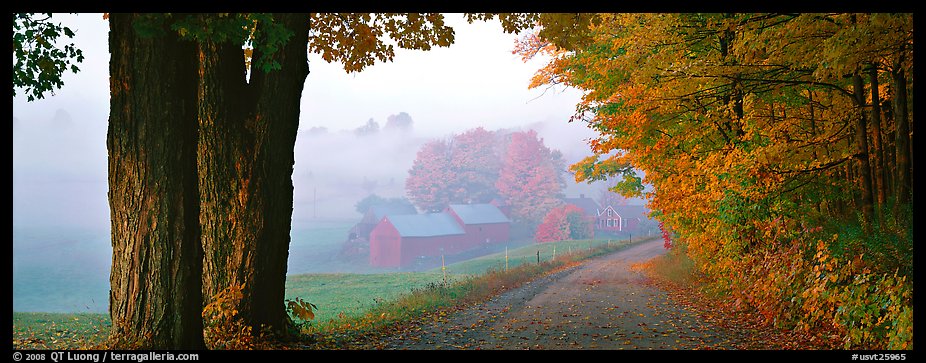Rural view with road and farm in autumn fog. Vermont, New England, USA (color)