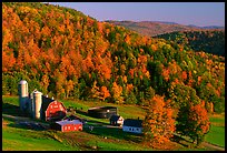 Farm surrounded by hills in fall foliage. Vermont, New England, USA ( color)