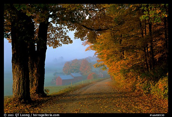 Jenne Farm, foggy morning. Vermont, New England, USA (color)