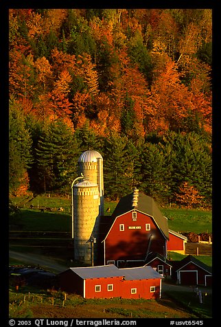 Farm and silos surrounded by hills in autumn  foliage. Vermont, New England, USA (color)