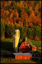 Farm and silos surrounded by hills in autumn  foliage. Vermont, New England, USA