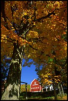 Elm Grove Farm near Woodstock. Vermont, New England, USA (color)