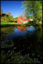 Pond and Sherbourne Farm in Hewettville. Vermont, New England, USA (color)