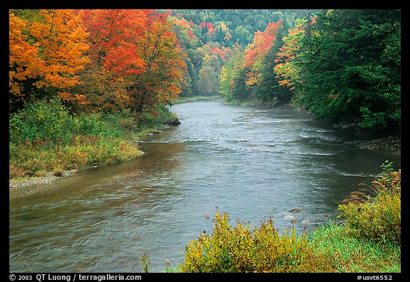 River with trees in autumn color. Vermont, New England, USA (color)
