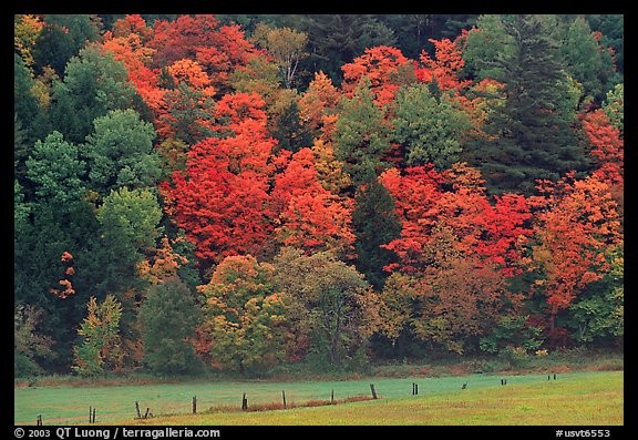 Meadow, fence, and colorful trees. Vermont, New England, USA (color)