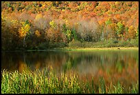 Hill in fall colors reflected in a pond. Vermont, New England, USA