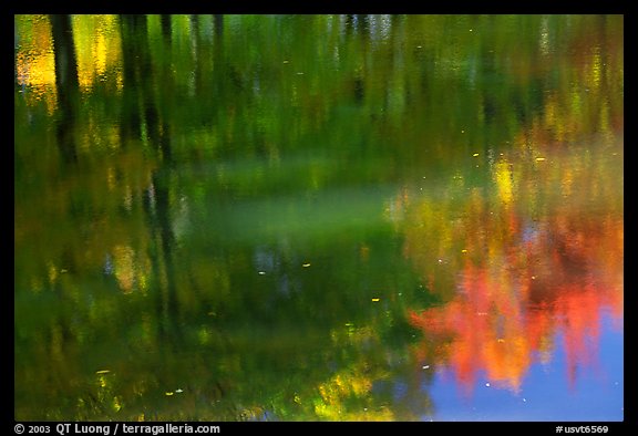 Foliage reflections. Vermont, New England, USA (color)