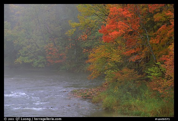 Misty river with trees in fall foliage. Vermont, New England, USA (color)