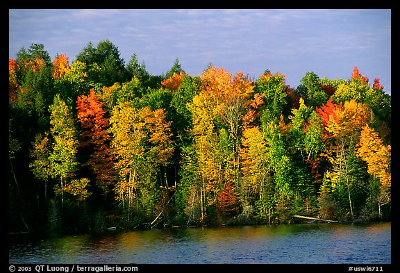 Trees in fall colors bordering a lake. Wisconsin, USA