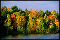 Trees in fall colors bordering a lake. Wisconsin, USA (color)