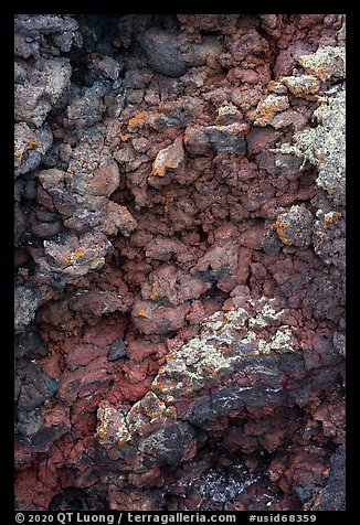Close-up of red and purple lava rocks with lichens. Craters of the Moon National Monument and Preserve, Idaho, USA