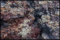 Close-up of lava with rich colors, augmented by green and orange lichen. Craters of the Moon National Monument and Preserve, Idaho, USA ( color)