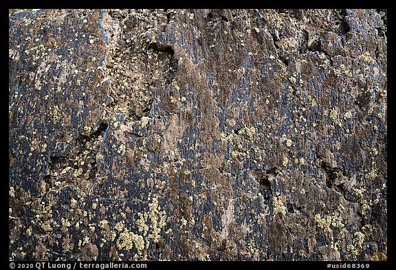 Close-up of lava and lichen. Craters of the Moon National Monument and Preserve, Idaho, USA