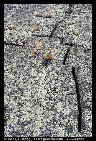 Fissures on pressure ridge. Craters of the Moon National Monument and Preserve, Idaho, USA (color)