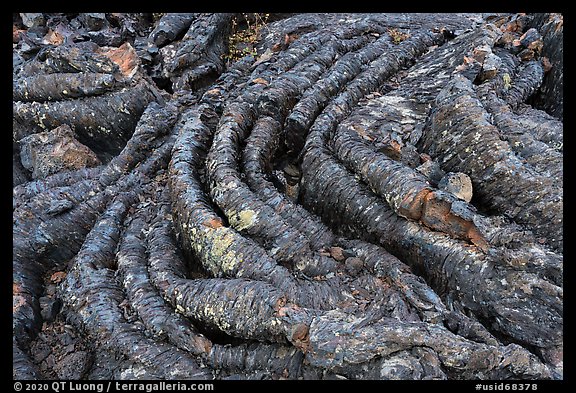 Close-up of Pahoehoe lava. Craters of the Moon National Monument and Preserve, Idaho, USA