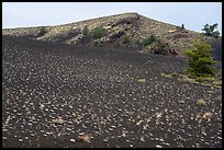 Evenly spaced dwarf buckwheat plants and Big Craters. Craters of the Moon National Monument and Preserve, Idaho, USA ( color)
