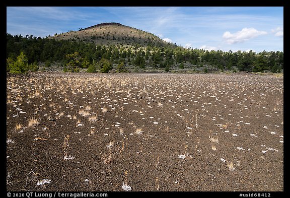 Dwarf buckwheat on cinders and Big Cinder Butte. Craters of the Moon National Monument and Preserve, Idaho, USA (color)