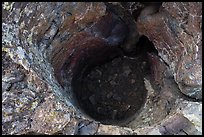 Trunk-shaped depression in lava. Craters of the Moon National Monument and Preserve, Idaho, USA ( color)
