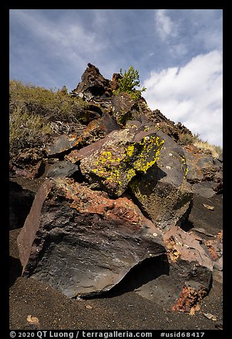 Basalt rocks with lichen. Craters of the Moon National Monument and Preserve, Idaho, USA