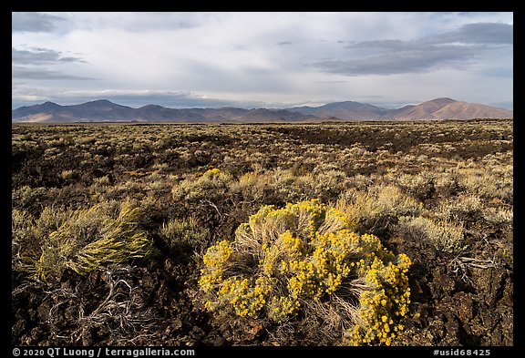 Sagebrush and Pioneer Mountains. Craters of the Moon National Monument and Preserve, Idaho, USA (color)
