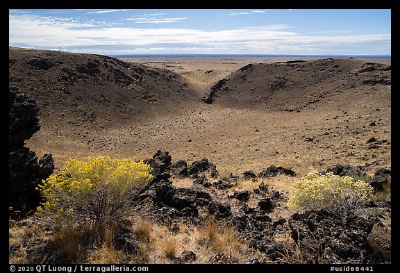 Rabbitbrush in bloom and breach of Bear Den Butte crater. Craters of the Moon National Monument and Preserve, Idaho, USA (color)