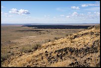Grassy lava flow from Bear Den Butte. Craters of the Moon National Monument and Preserve, Idaho, USA ( color)