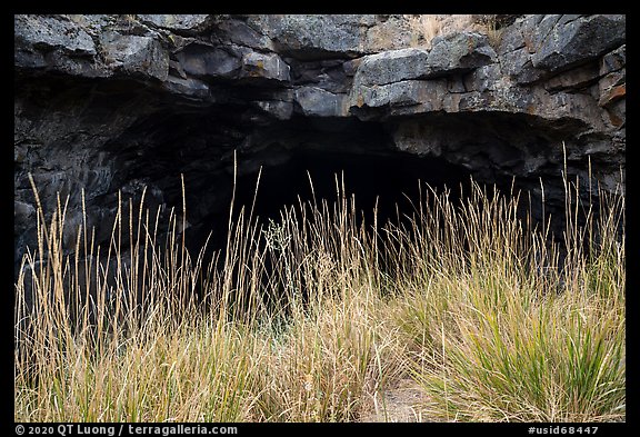 Grasses and Bear Trap Cave entrance. Craters of the Moon National Monument and Preserve, Idaho, USA (color)