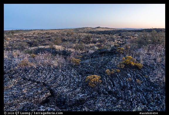Pahoehoe lava from Wapi Flow and flowers at dawn. Craters of the Moon National Monument and Preserve, Idaho, USA
