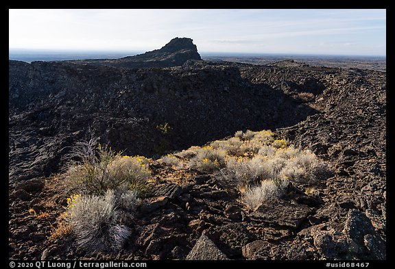 Rabbitbrush and crater, Pilar Butte. Craters of the Moon National Monument and Preserve, Idaho, USA (color)