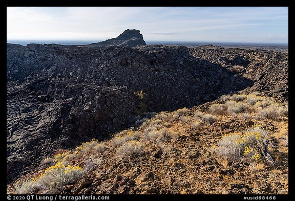 Rabbitbrush and plug on Pilar Butte shield volcano. Craters of the Moon National Monument and Preserve, Idaho, USA